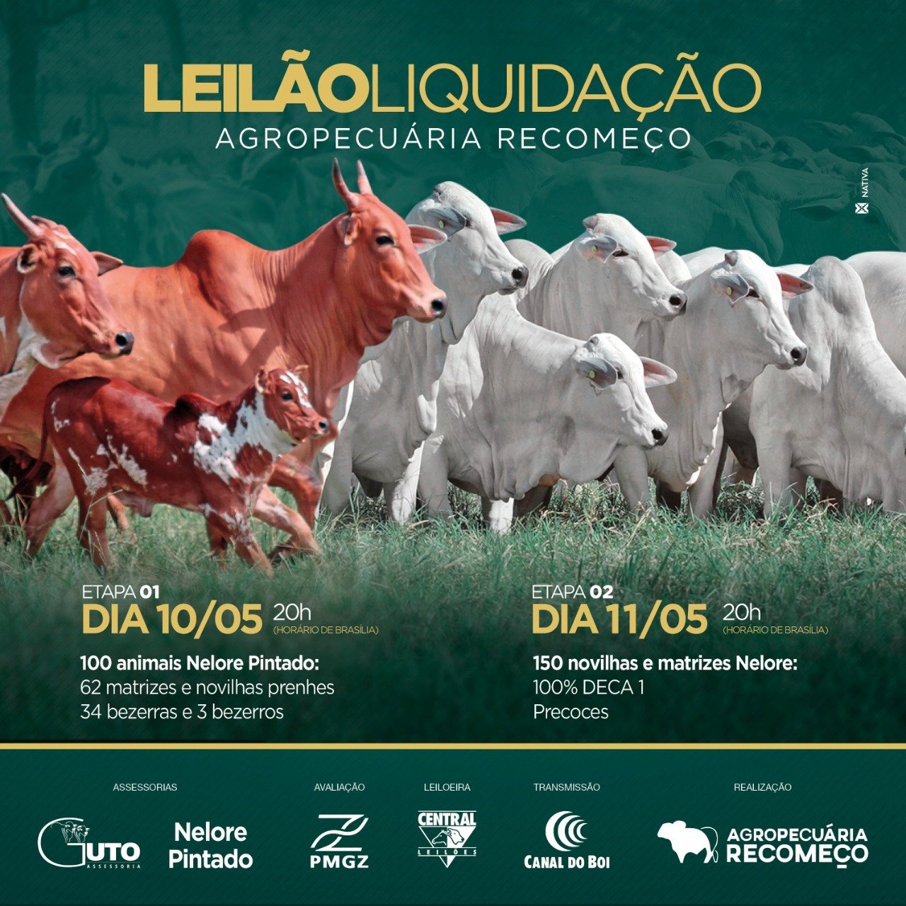 41ª Feira de Terneiros e Terneiras - 1ª Etapa 